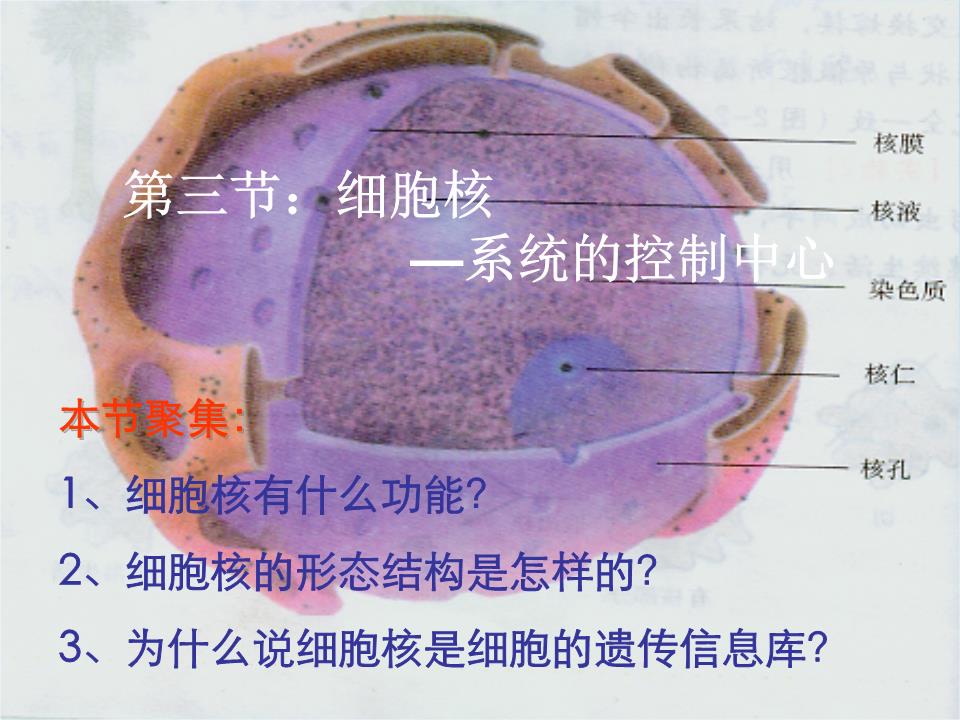 深度剖析侠盗猎车手5在E3GTX960显卡上的最佳画质调整及游戏效能优化策略